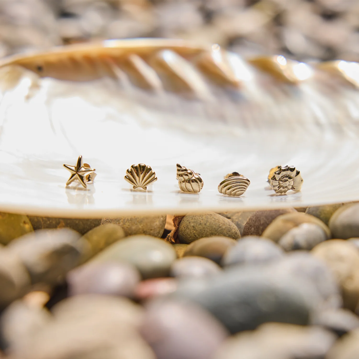Soleil Scallop Seashell Stud Earrings - Image 7